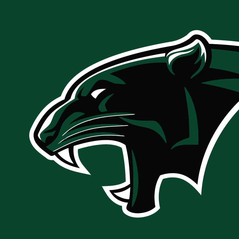 Palo Verde Womens Lacrosse