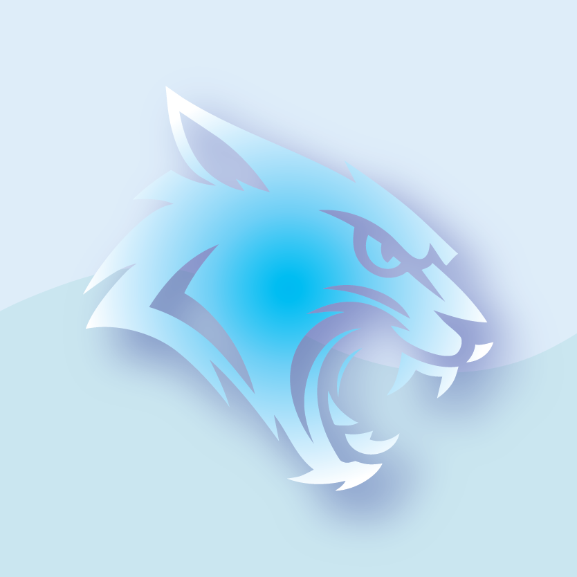 Eagan Basketball Holiday Store