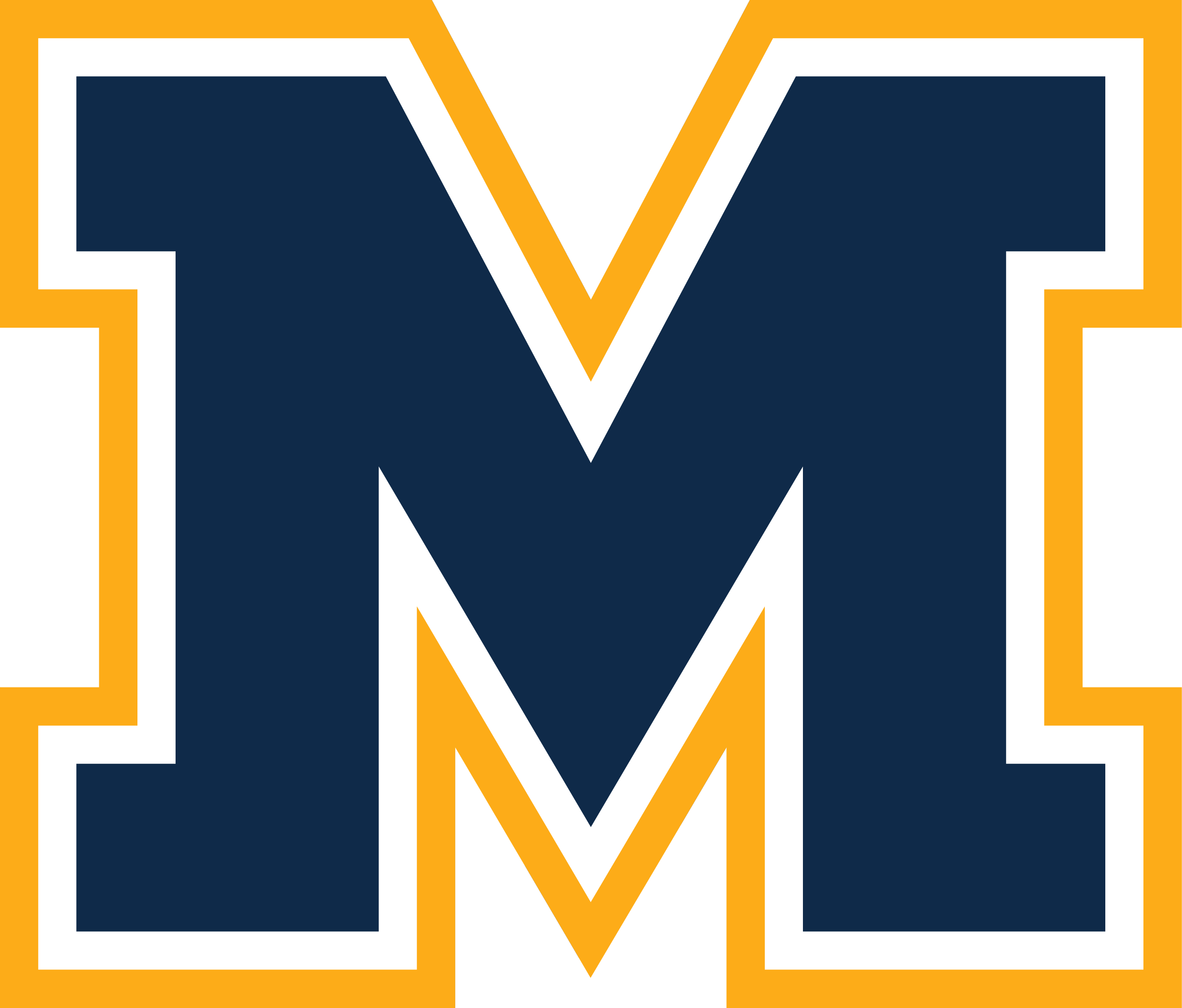 Mahtomedi WARRIOR XP2 Custom Glove