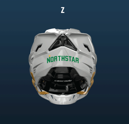 NLC CASCADE Z Custom Helmet