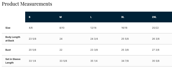 Club Velocity Nike Women's Club Fleece Sleeve Swoosh Pullover Hoodie - GREY