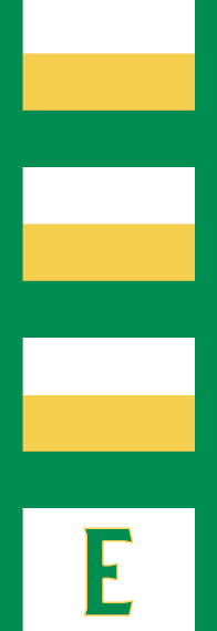 Edina Lacrosse Game Shorts