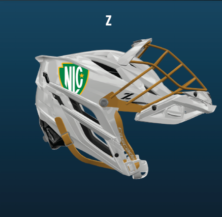 NLC CASCADE Z Custom Helmet