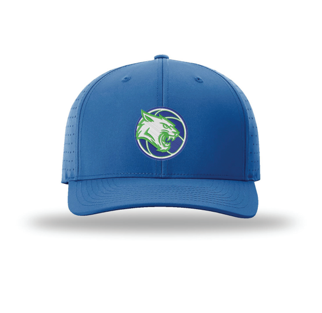 Eagan Basketball Richardson Laser Perf R-Flex Snapback - BLUE