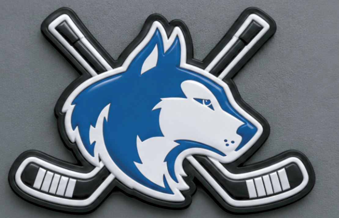 Owatonna Hockey WAGGLE Hat