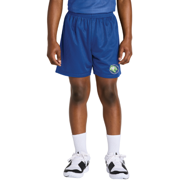 Eagan Basketball Sport-Tek® Youth PosiCharge® Mesh 5” Short - ROYAL